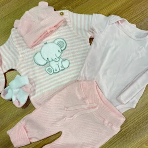 Primer Día Elefante Rosado